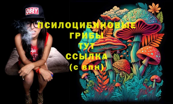 тгк Белокуриха