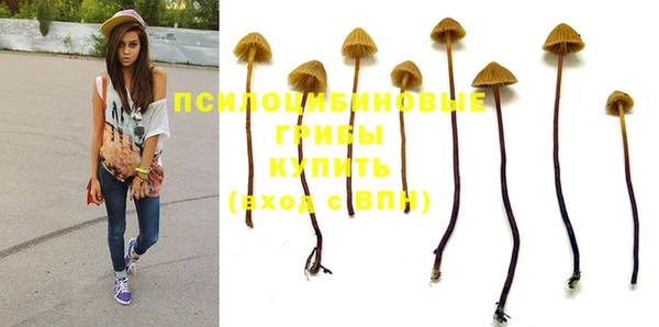 тгк Балахна