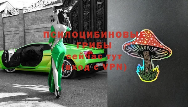 тгк Белокуриха