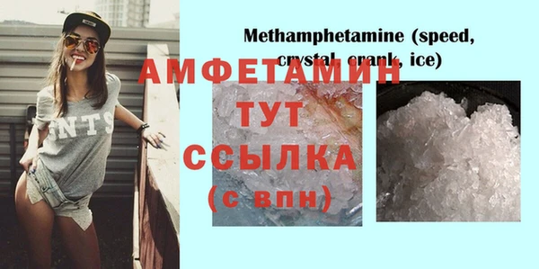 шишки Беломорск