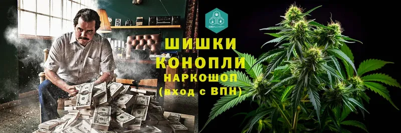 Шишки марихуана Amnesia  где найти наркотики  Дигора 